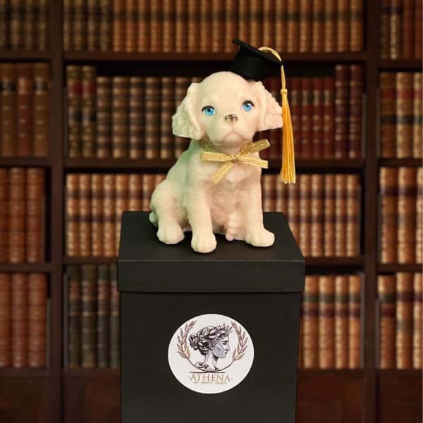 Small white puppy figurine wearing a graduation cap on a black box