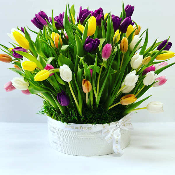 Colorful tulip bouquet in a white round box