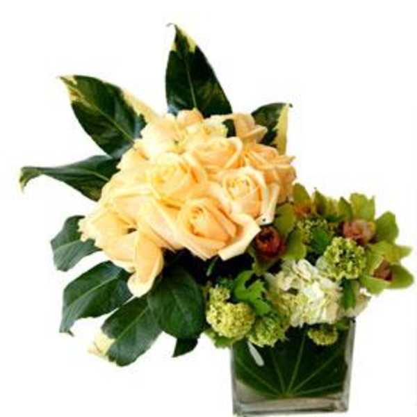 Roses Dancing with Orchids - My Beverly Hills Florist