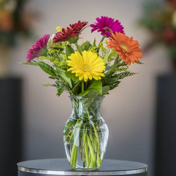 Colorful gerbera daisies in a clear glass vase