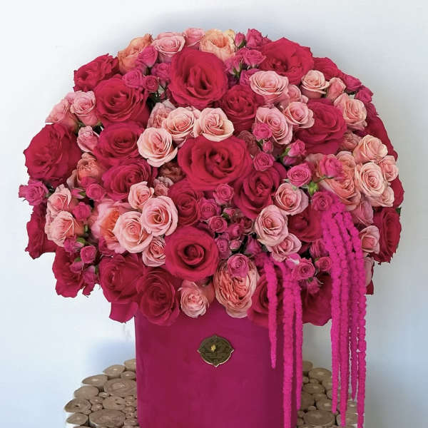 Large pink and red rose arrangement in a magenta box with trailing accents