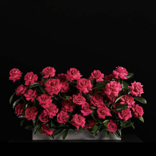 Bright pink roses arranged in a low rectangular container