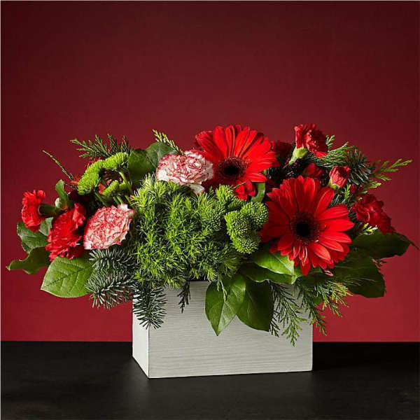 carnations gerbera trick