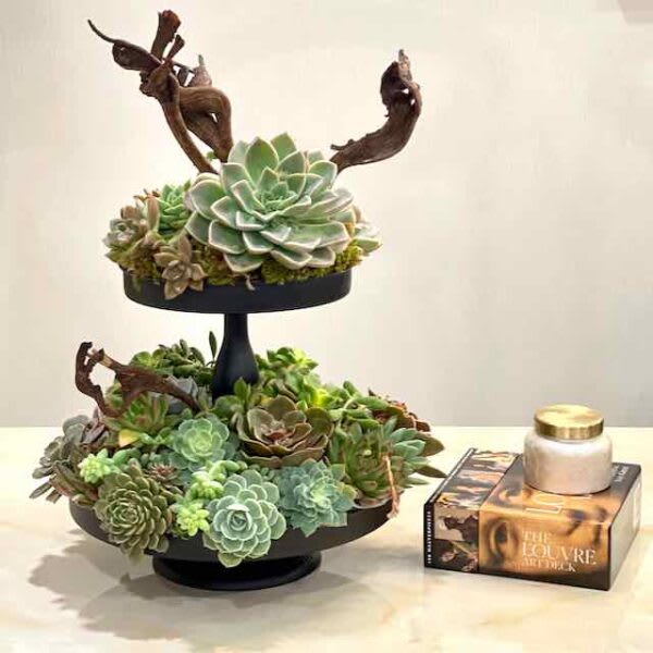 Two-tier succulent arrangement on a black stand beside a candle jar