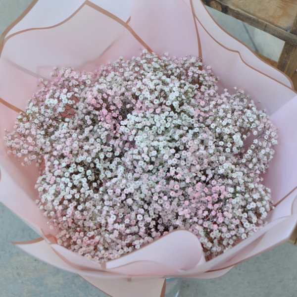 Bouquet of tiny pink and white flowers wrapped in pale pink paper