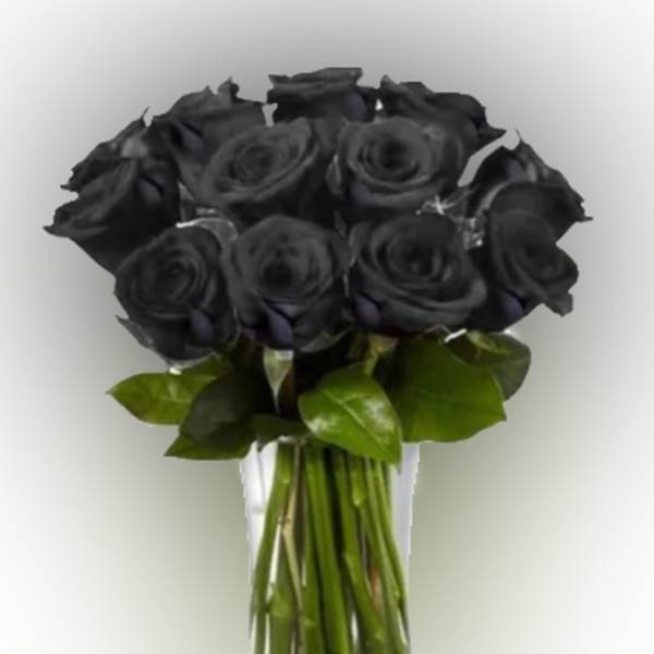 Bouquet of black roses in a clear glass vase