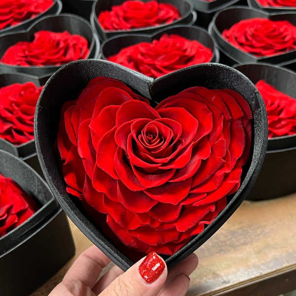 Red rose in a black heart-shaped box