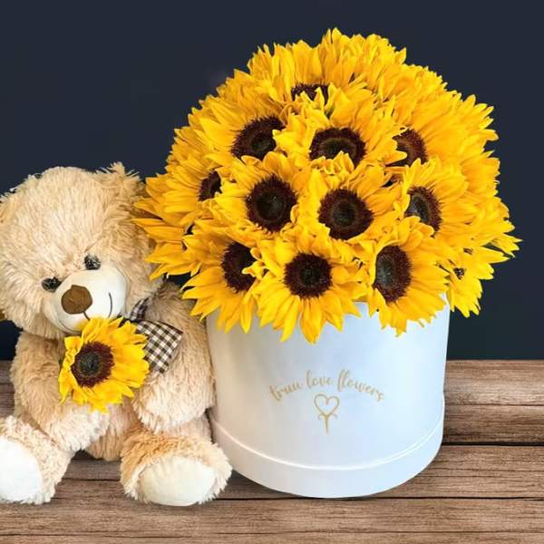 Sunflower Box White & sweet Teddy bear