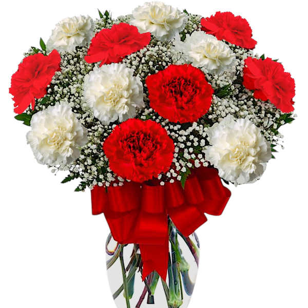 Red and white carnations in a clear glass vase with a red ribbon