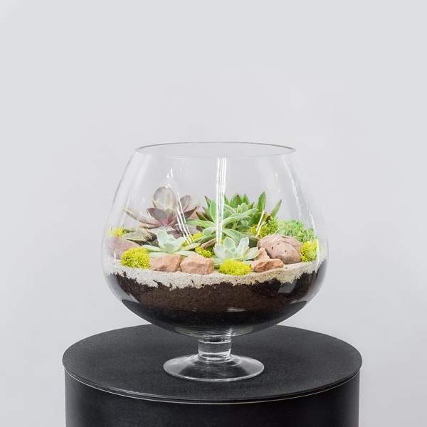 Glass bowl terrarium with small succulents and decorative stones