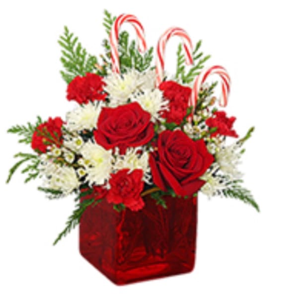 Red roses and white flowers in a red vase with candy canes