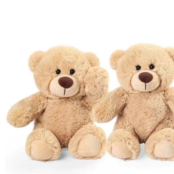 Two beige teddy bears sitting side by side on a white background