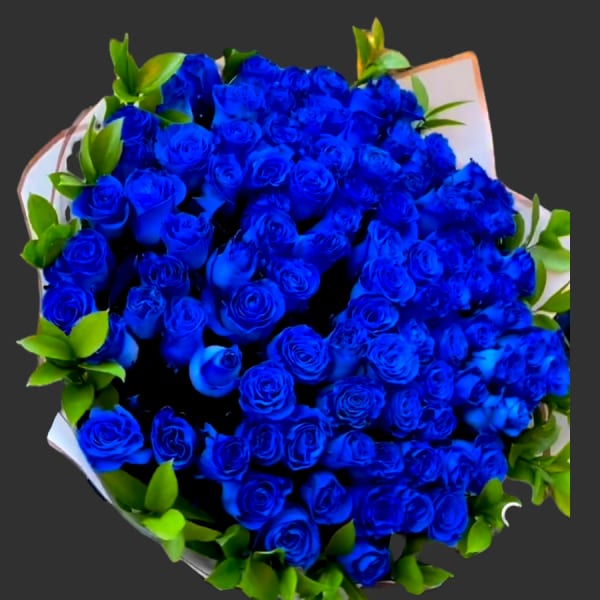 Bouquet of vivid blue roses with green foliage and white wrapping