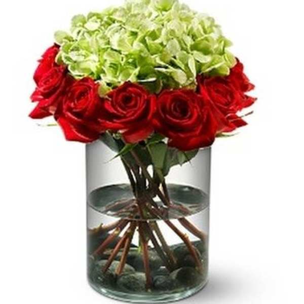 Red roses and green hydrangea in a clear glass vase
