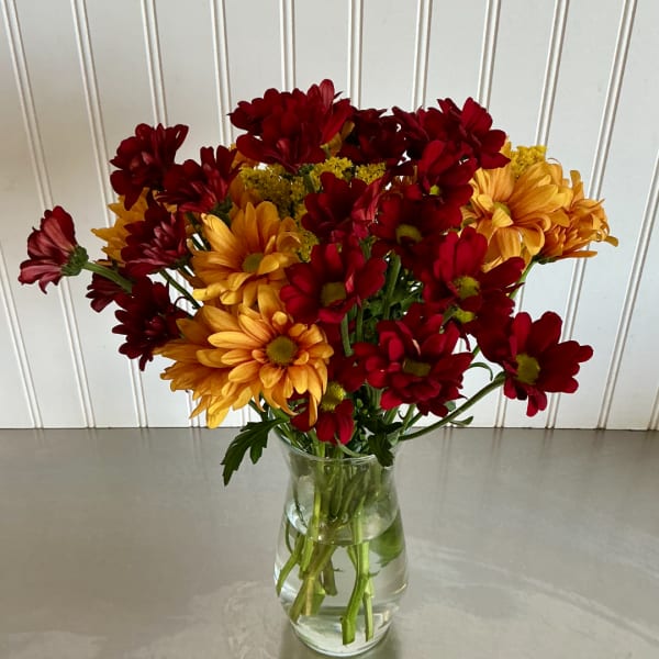 Red and yellow daisies in a clear glass vase