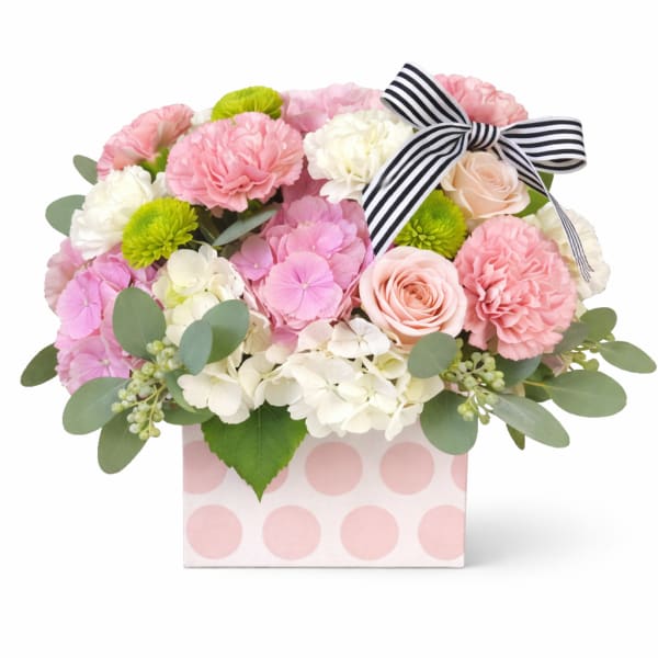 Polka Dots & Stripes Pink