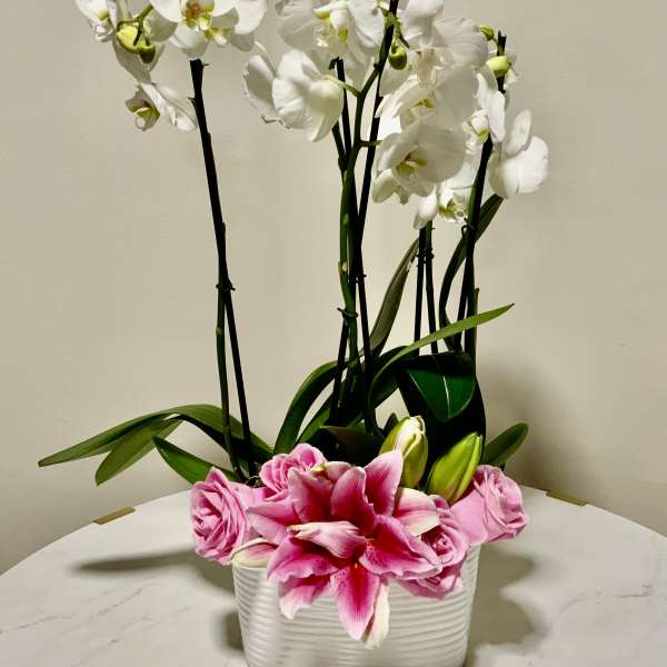 White orchids and pink lilies in a white ceramic planter