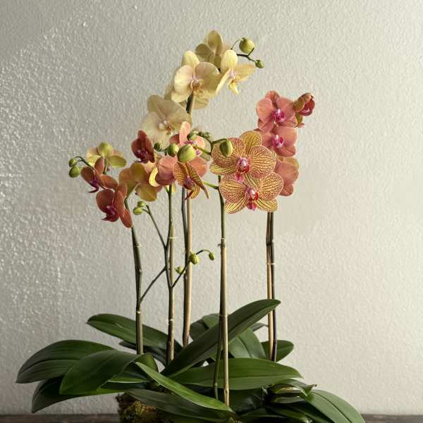 Mother's Day Arrangement #2