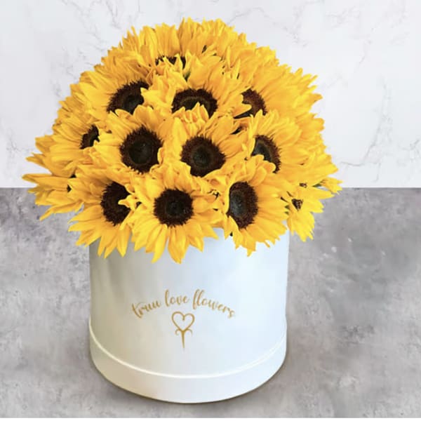 Sunflowers white Box