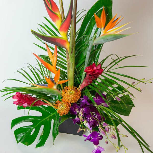 Tropical floral arrangement with bird of paradise and purple orchids in a black container