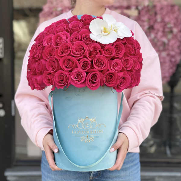 Turquoise with Orchid MD