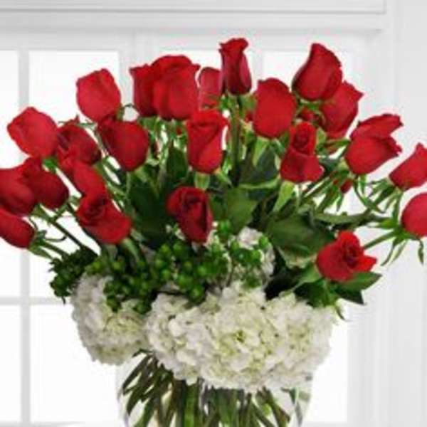 Red roses arranged in a clear glass vase with white hydrangeas