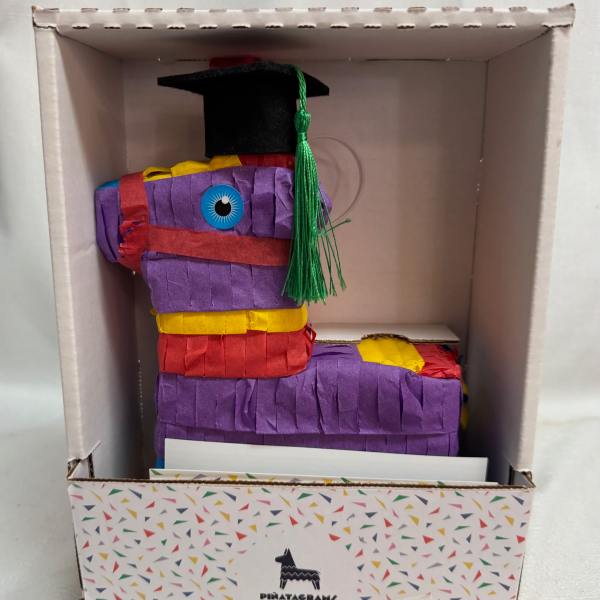 Graduation Piñata