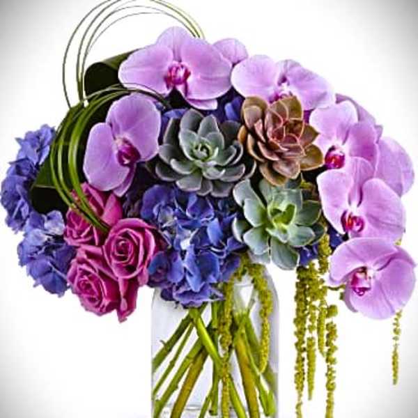 Purple orchids and succulents arranged in a glass vase