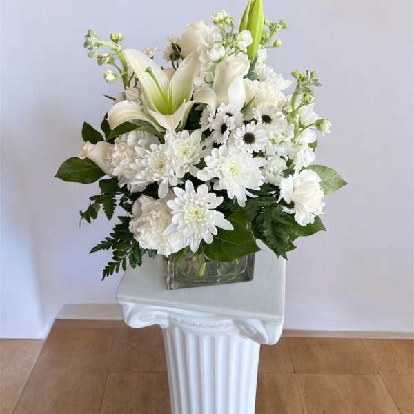 The White Muse