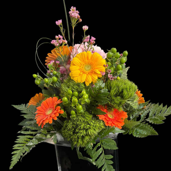 Elegant gerbera
