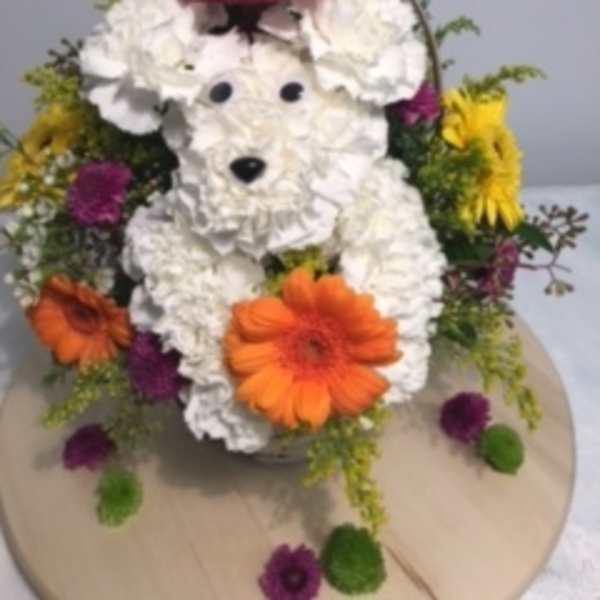 White floral dog arrangement with a glittery birthday hat and colorful flowers