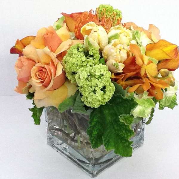 Orange and peach roses with green blooms in a square glass vase