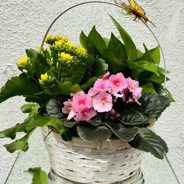 Pink and yellow potted flowers in a woven basket with a butterfly pick
