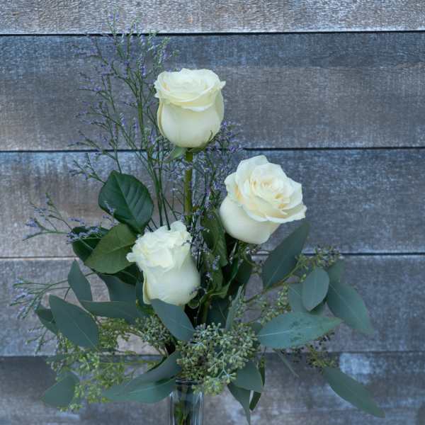 White roses in a clear glass vase with airy purple filler