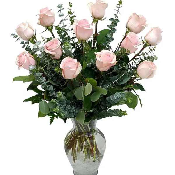 Long Stem Baby Pink Roses