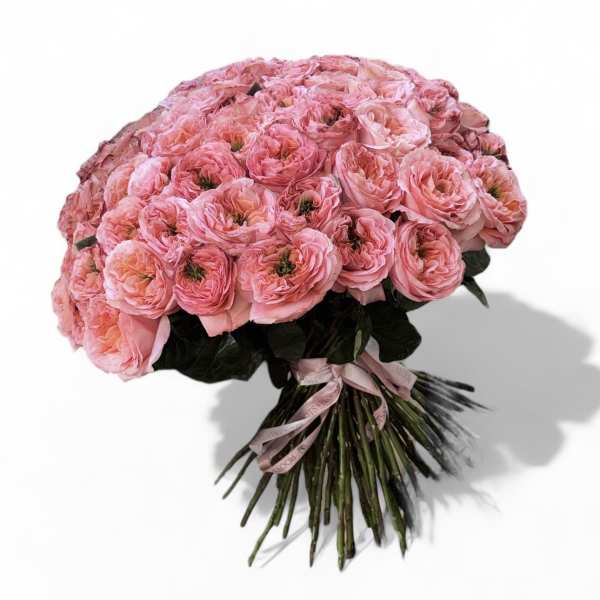 Large bouquet of pink ranunculus tied with a ribbon