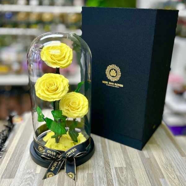 Three yellow roses under a glass dome on a black base with matching black gift box.