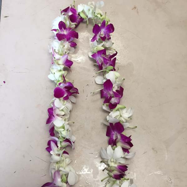 GRADUATION LEI (PURPLE AND WHITE )