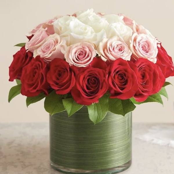 Red and white roses arranged in a glass vase