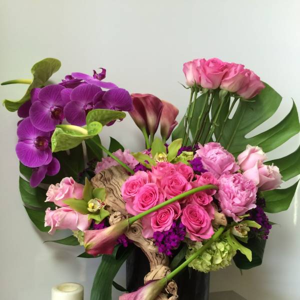 Enchanted Roses and Orchids