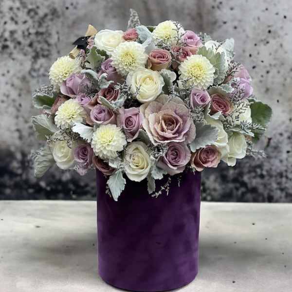 Purple Dreams