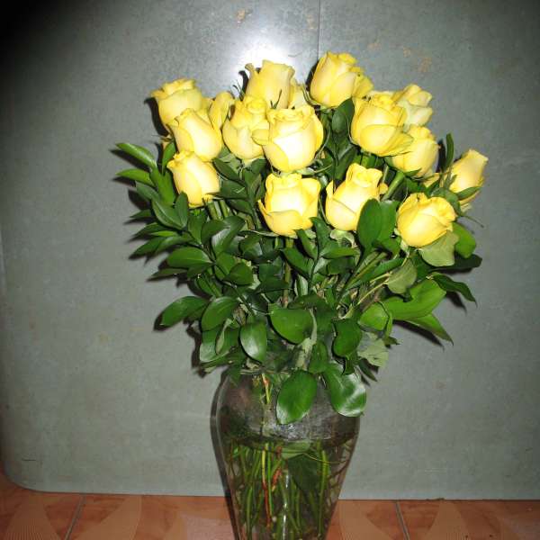 yellow Roses #36