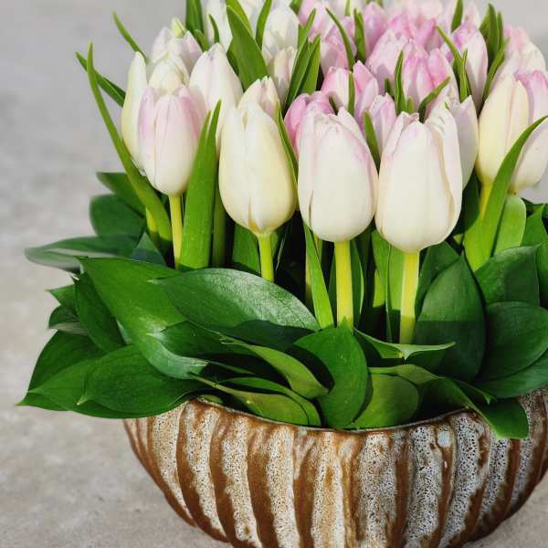 Pink and white tulips arranged in a ceramic bowl
