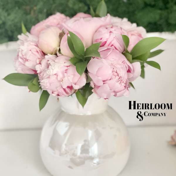 Pink peonies arranged in a white vase