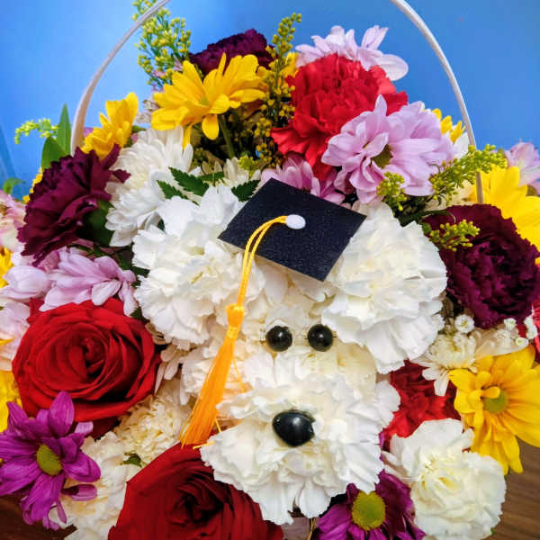 Graduation Baylee