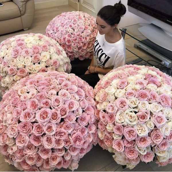 Four giant domes of pink and white roses arranged on low stands indoors