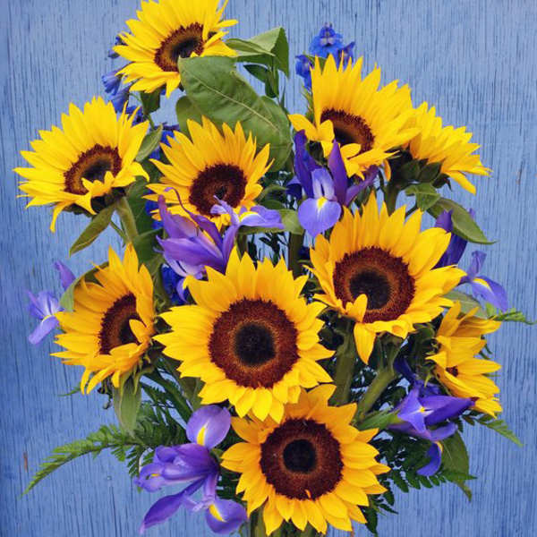 Bouquet of yellow sunflowers and purple irises in a glass vase