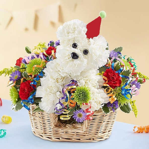 White flower dog in a basket with a red party hat