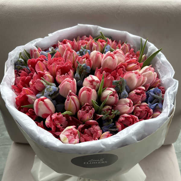 Bouquet of pink and red tulips wrapped in white paper