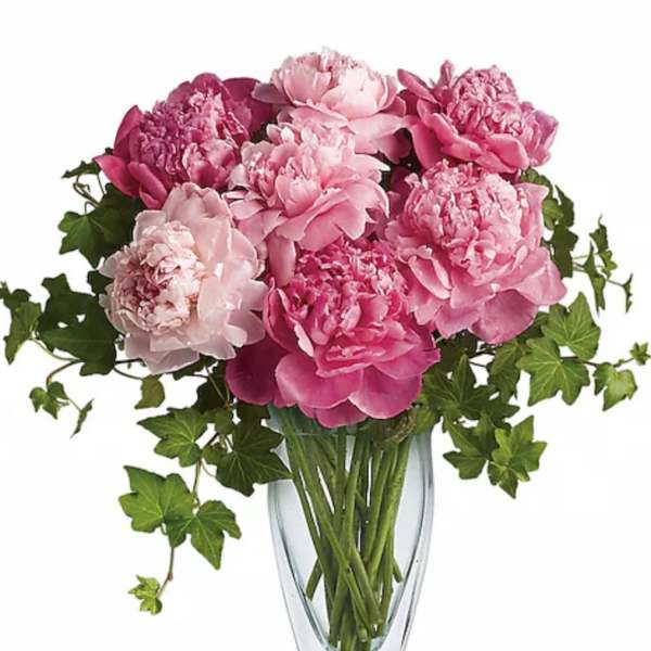 Pink peonies in a clear glass vase with trailing ivy